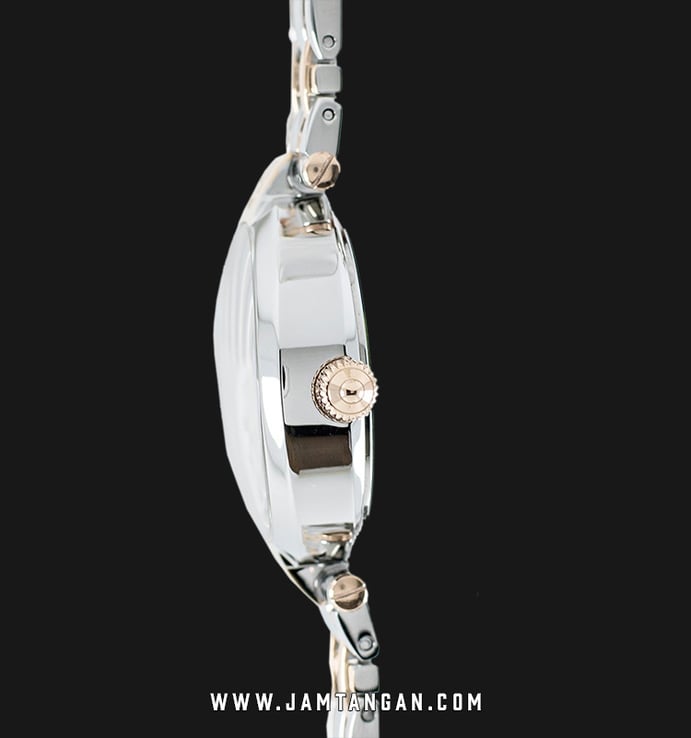 Aigner Florence A129203 Ladies Silver Dial Dual Tone Stainless Steel Strap
