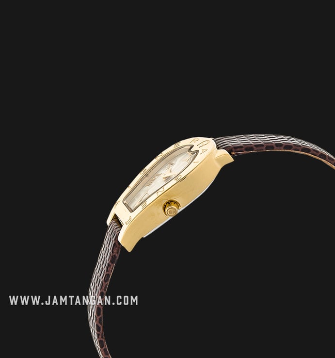 Aigner Olbia II A29232FC Ladies Champagne Dial Gold Stainless Steel Case Dark Brown Leather Strap 