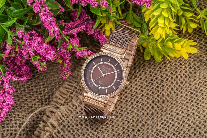 Alexandre Christie AC 2749 LD BROMO Ladies Brown Mother of Pearl Dial Brown Stainless Steel