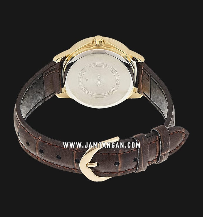 Casio General LTP-V004GL-9AUDF Ladies Champagne Dial Brown Leather Band