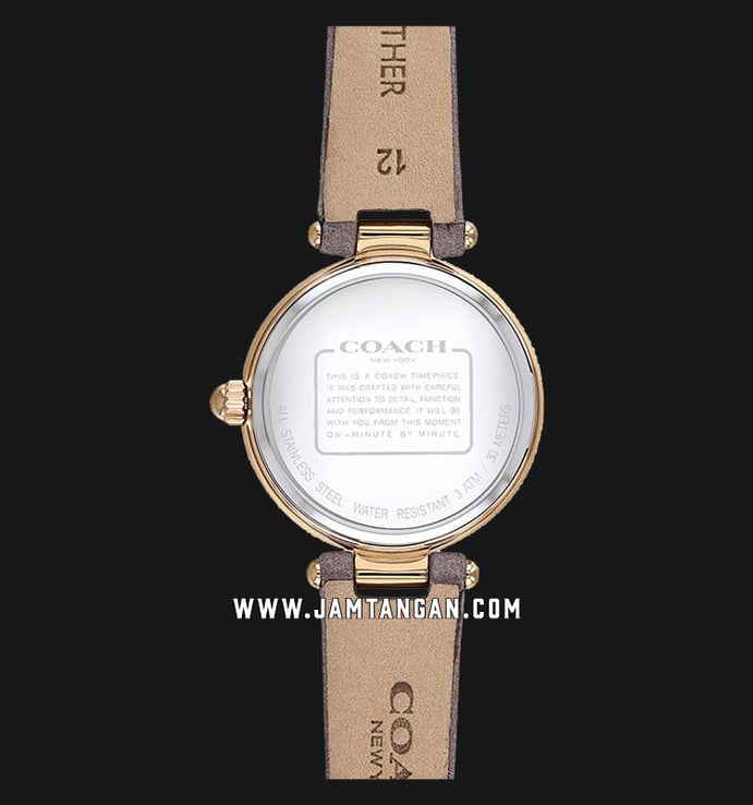 Coach 14503104 Park Ladies White Mother of Pearl Dial Grey Leather Strap