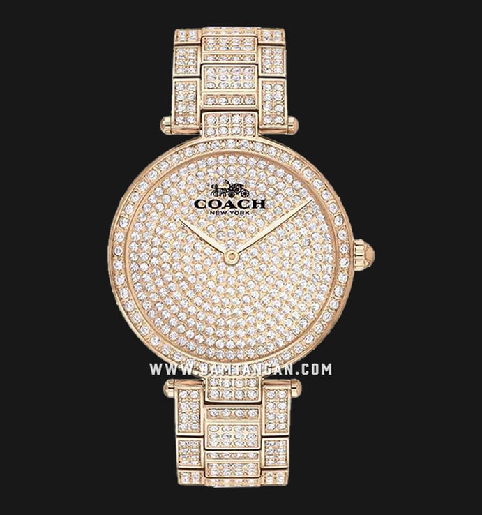 Coach Park 14503428 Ladies Gold With Crystal Dial Gold With Crystal Stainless Steel Strap