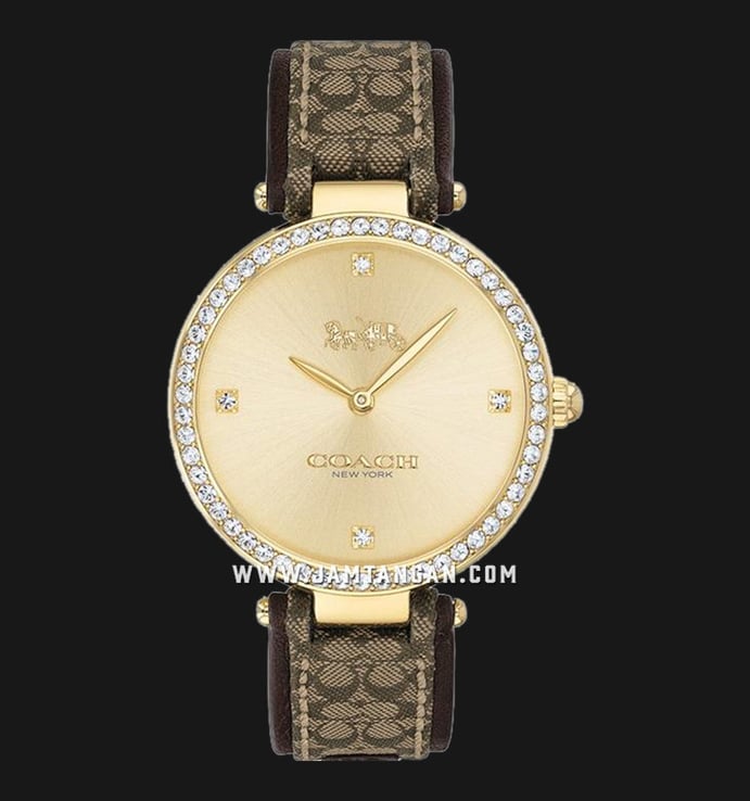 Coach Park 14503456 Ladies Gold Dial Dual Tone Nylon With Leather Strap