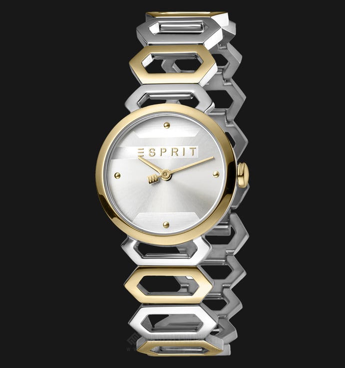 ESPRIT Arc ES1L021M0075 Ladies Silver Dial Dual Tone Stainless Steel Watch