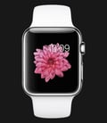 Apple Watch 38mm Stainless Steel Case with White Sport Band - MJ302ZP/A-0