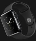 Apple Watch 42mm Space Black Stainless Steel Case with Black Band - MLC82ZP/A-1