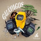 Casio G-Shock GW-B5600CD-1A2DR Charles Darwin Foundation For Galapagos Themed Black Resin Band-5