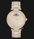 Coach Park 14503428 Ladies Gold With Crystal Dial Gold With Crystal Stainless Steel Strap-0