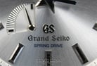 Grand Seiko SBGA103 Limited Edition-5
